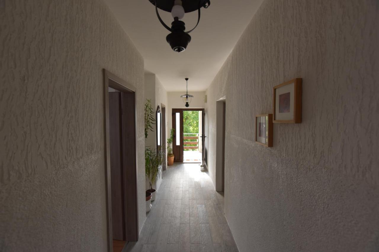 Apartments Frkovic Ledenice Kültér fotó