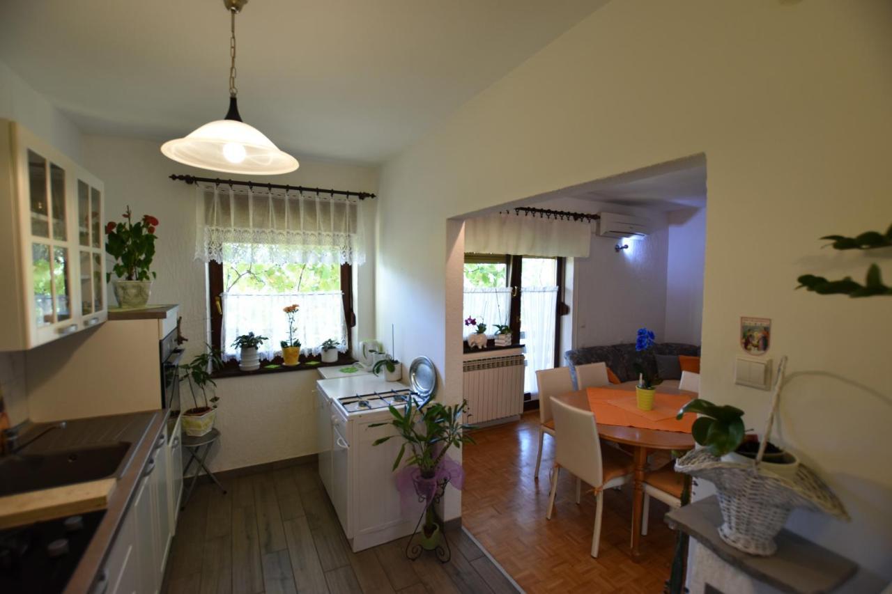 Apartments Frkovic Ledenice Kültér fotó