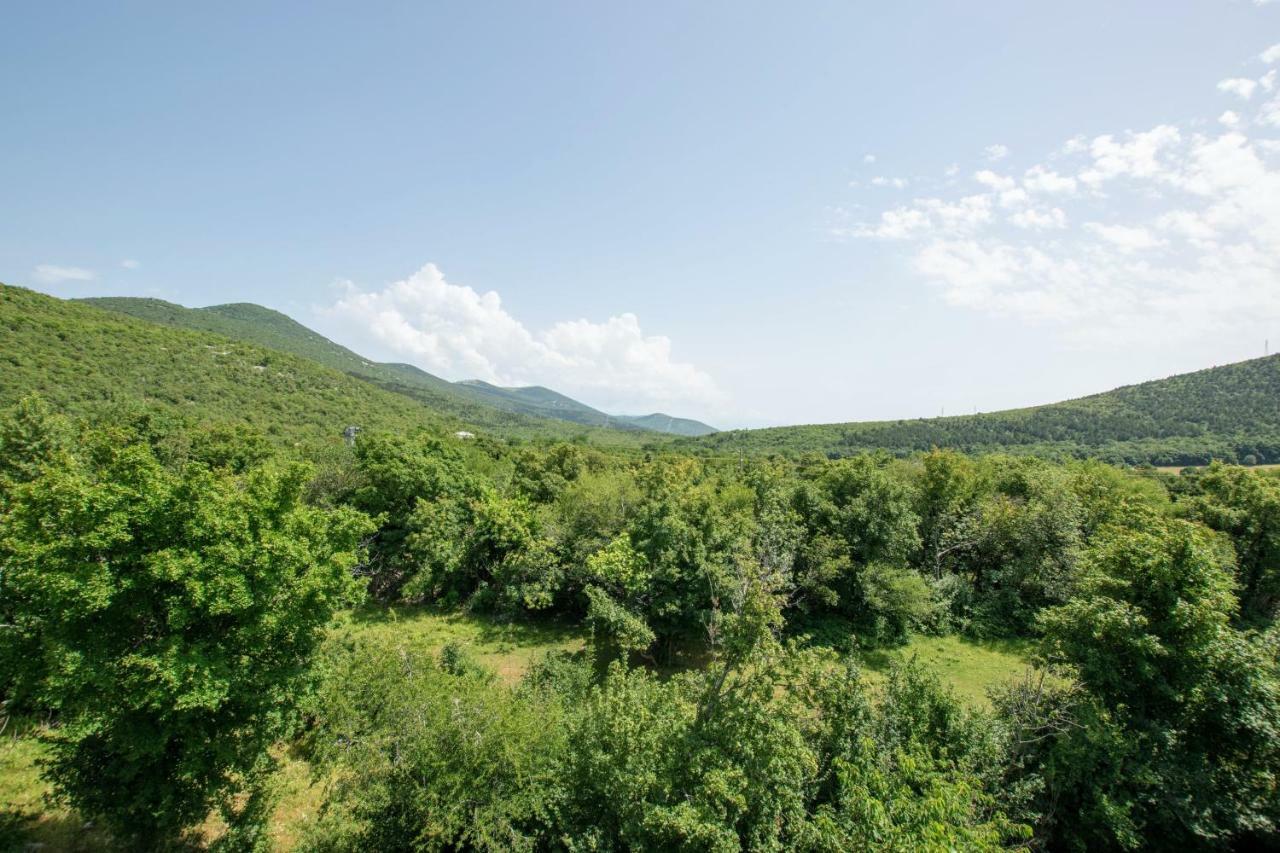 Apartments Frkovic Ledenice Kültér fotó