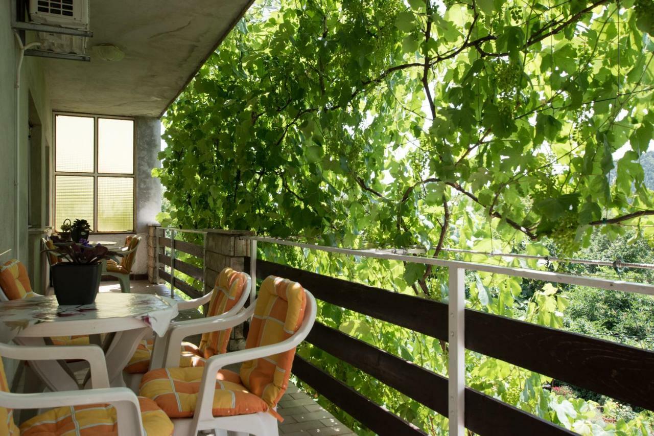Apartments Frkovic Ledenice Kültér fotó