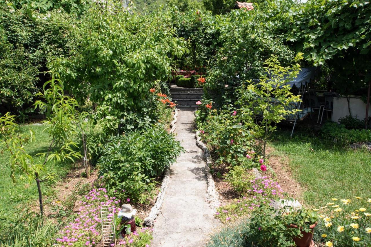 Apartments Frkovic Ledenice Kültér fotó