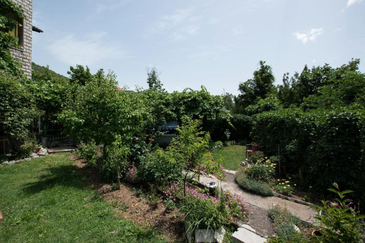 Apartments Frkovic Ledenice Kültér fotó